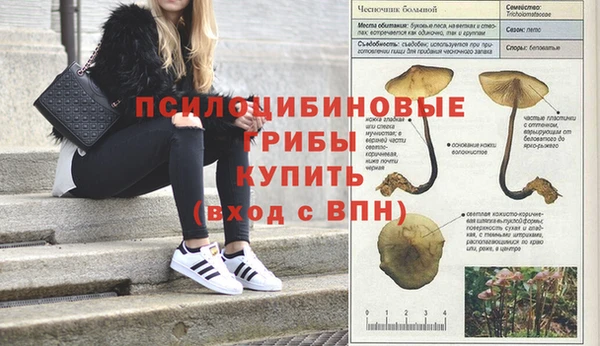 мяу мяу мука Дмитров