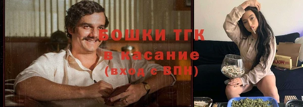 ешки Дмитровск