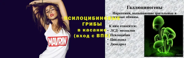 ешки Дмитровск