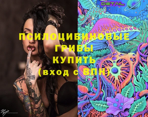 мяу мяу мука Дмитров