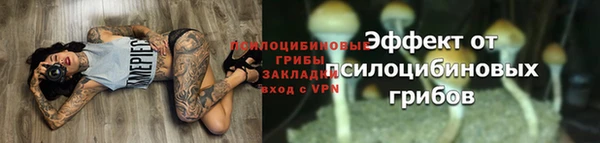 ешки Дмитровск