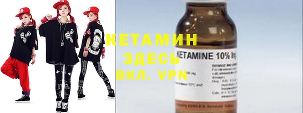 прущие грибы Елабуга