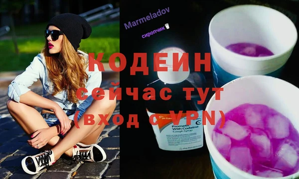 mdpv Елизово