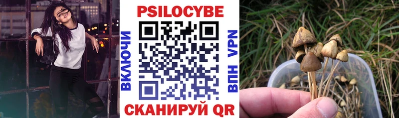 Галлюциногенные грибы мицелий  закладки  Сертолово 