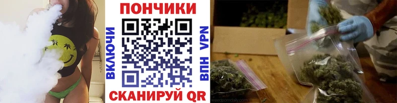 цены   Сертолово  Бошки марихуана индика 